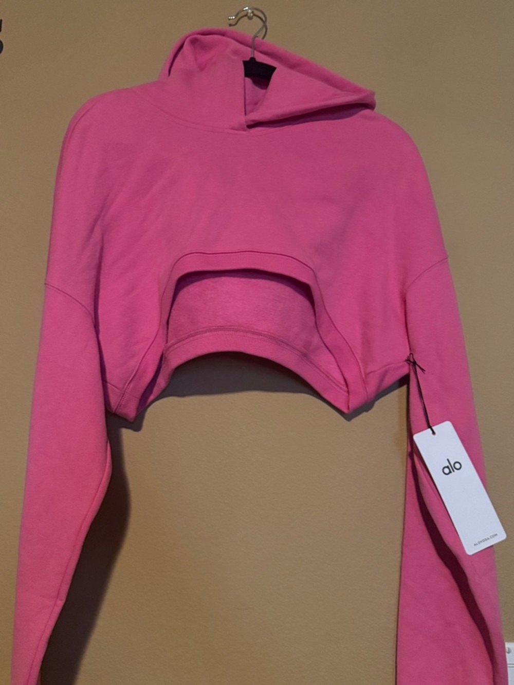ALO Yoga Hot Pink Cropped Hoodie